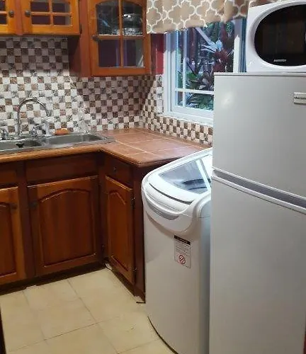Appartement Tallyman Montego Bay